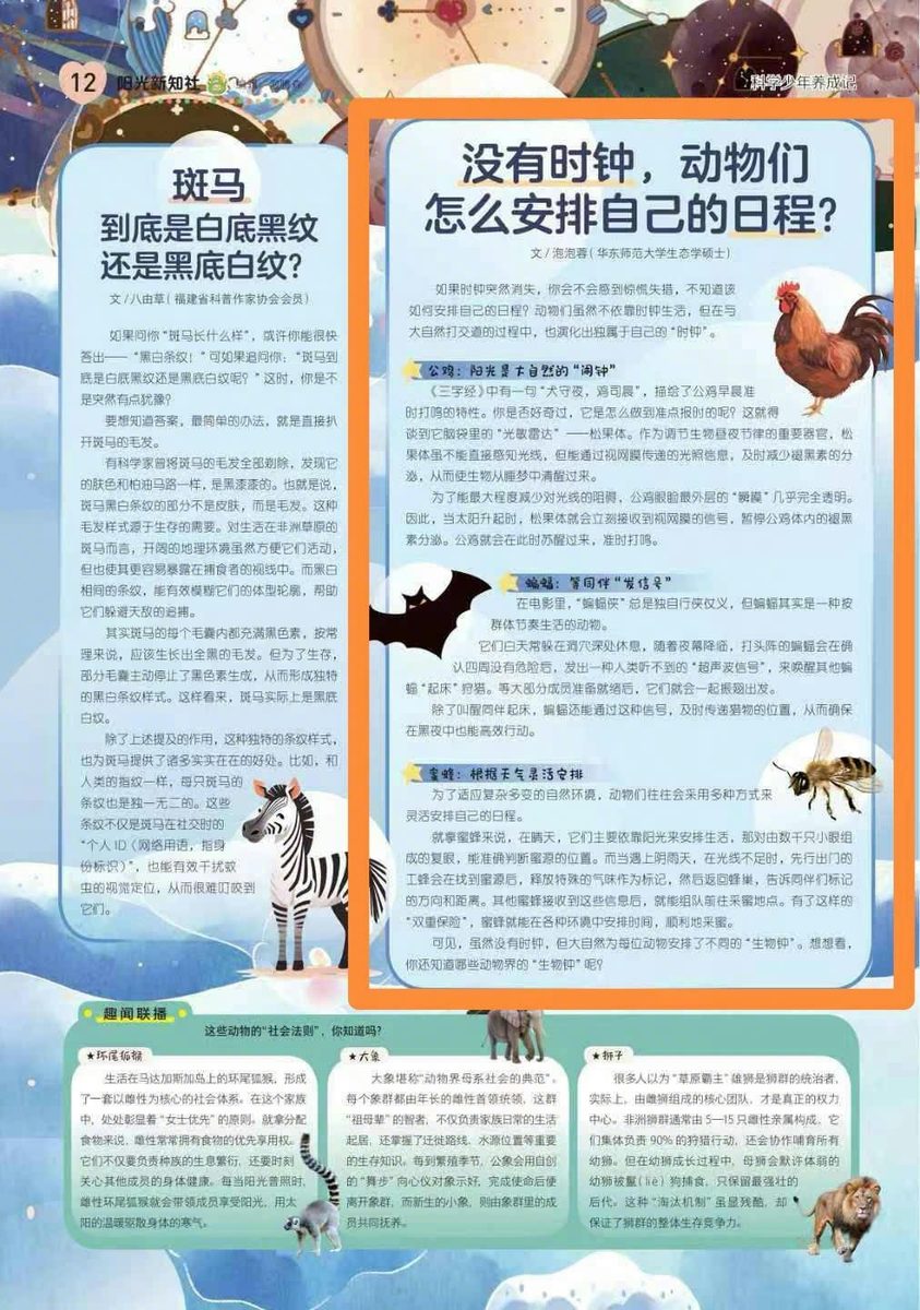科普文章 3