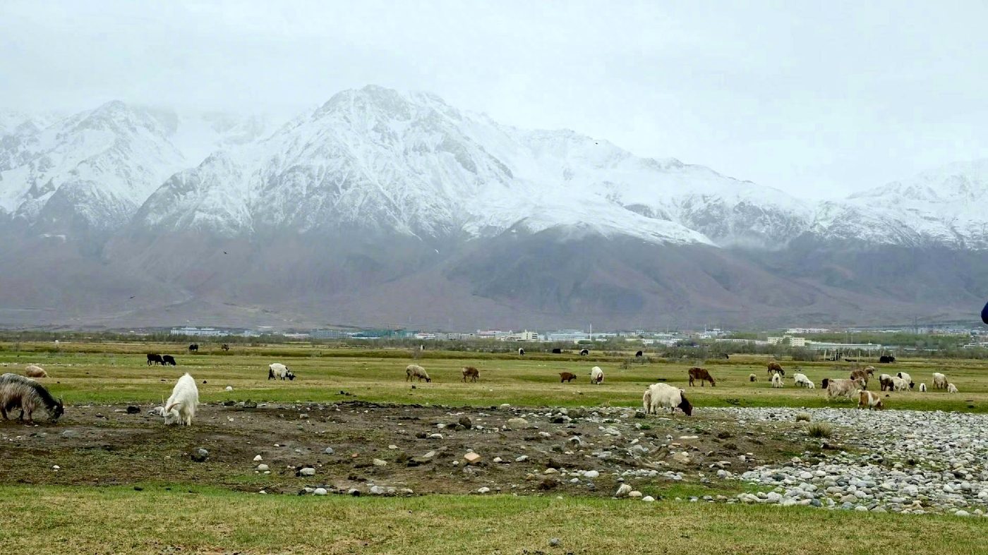 landscape 1