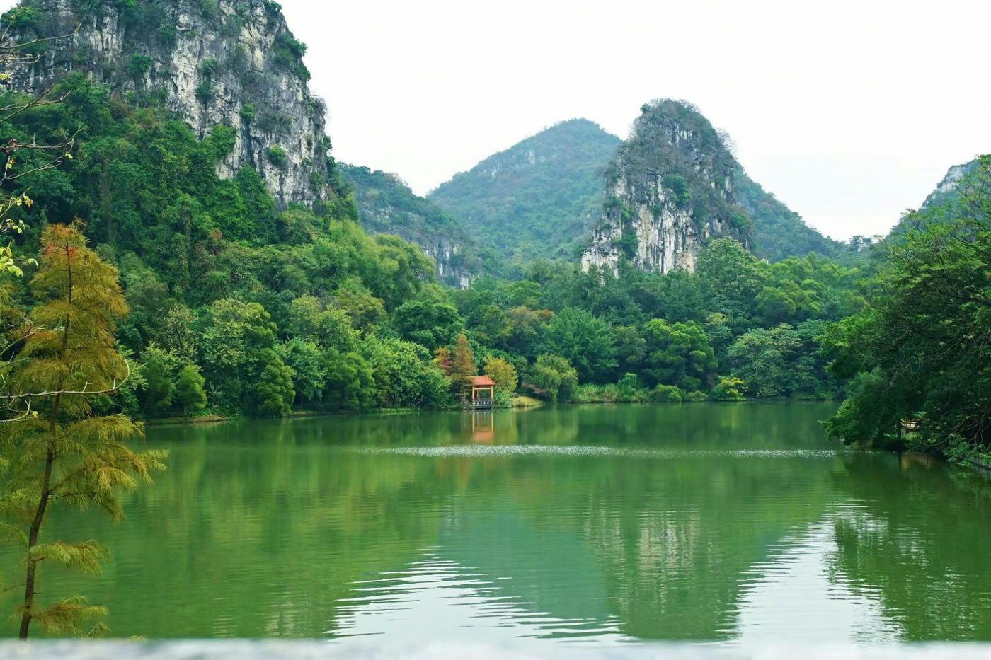 landscape 6